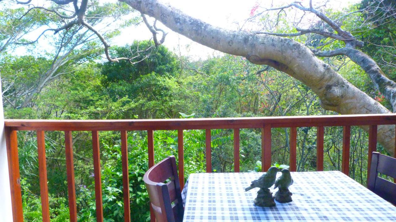 Umtentweni Royston Hall Historical Guesthouse מראה חיצוני תמונה